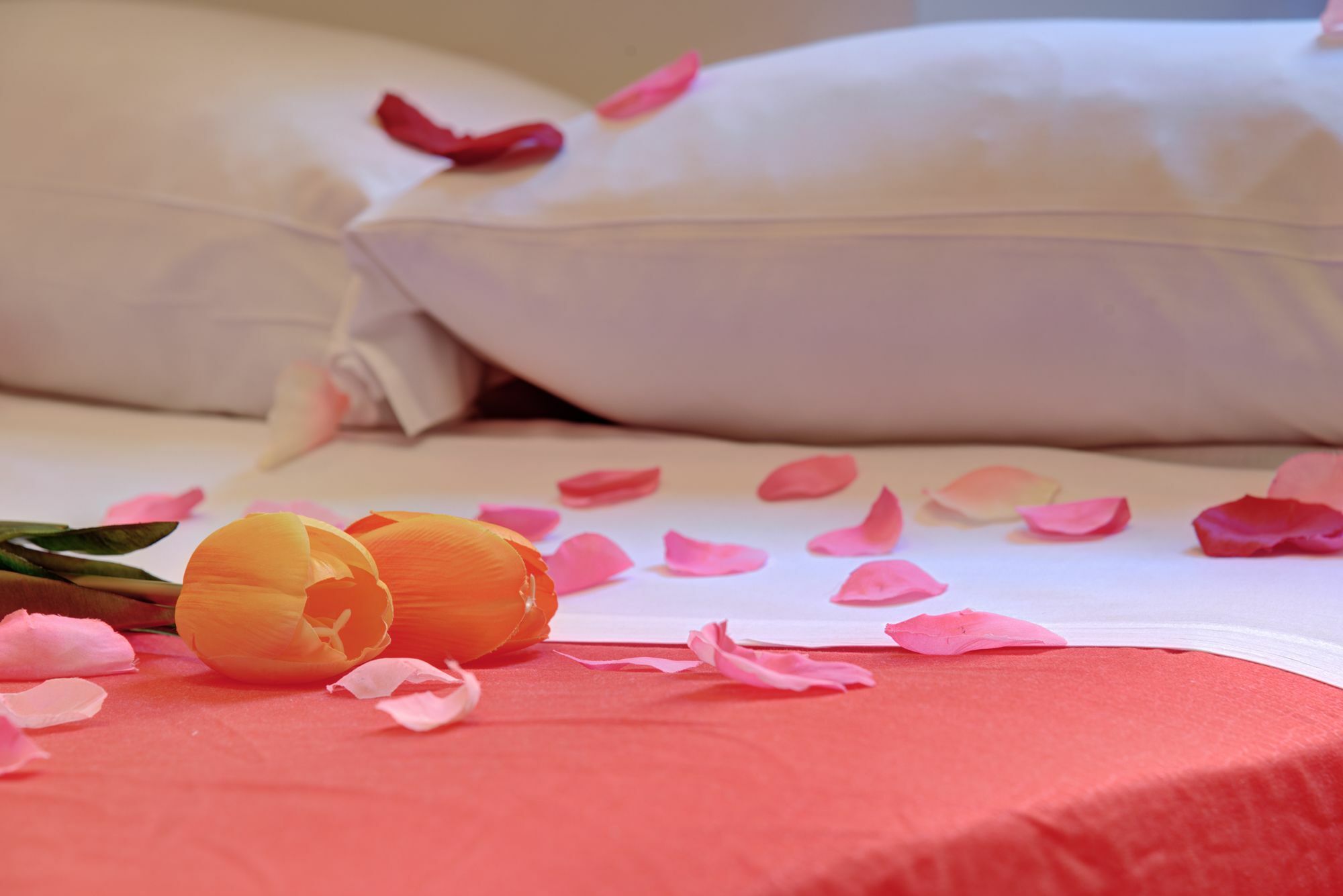 Ad Hoc Guest House Rome Bagian luar foto